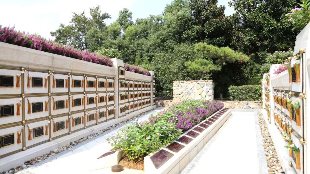 在合肥大蜀山文化陵园，与生命温柔对话